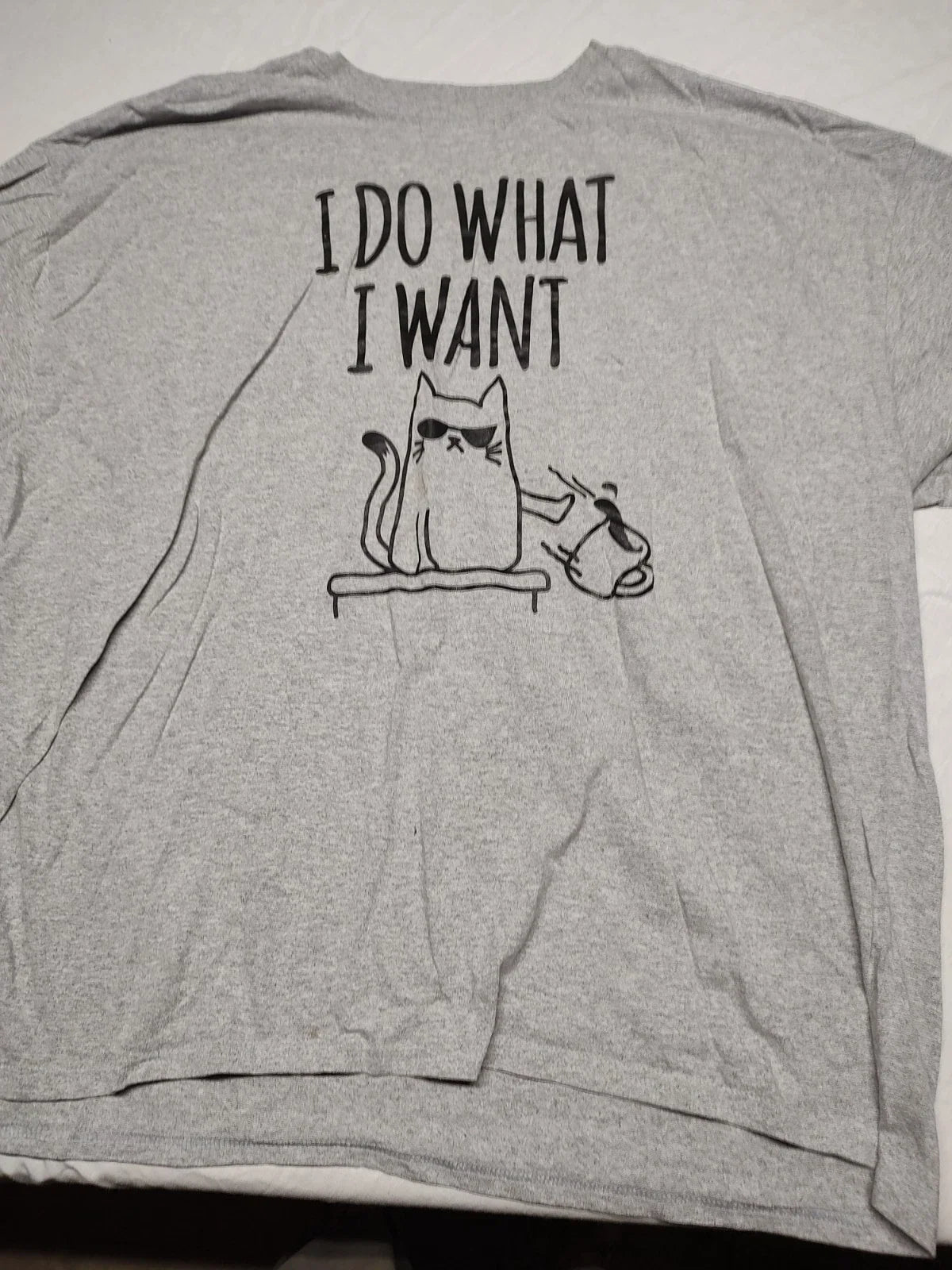 Vintage ODM Novelty Cat Graphic Gray Adult 3 XL M/F I do what I want Unisex , , , Long Sleeve Tee