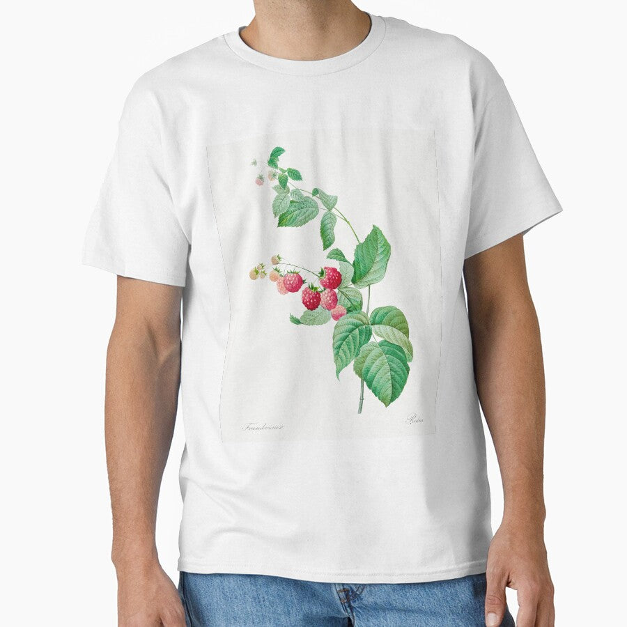 Raspberry Fruit Vintage Botanical Illustration by TheRetroArtRoom