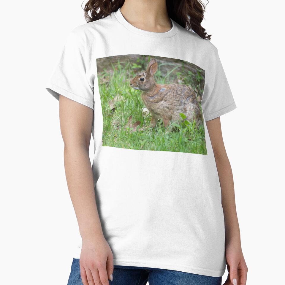 Cotton Tail in Front Yard by Perspective Wings