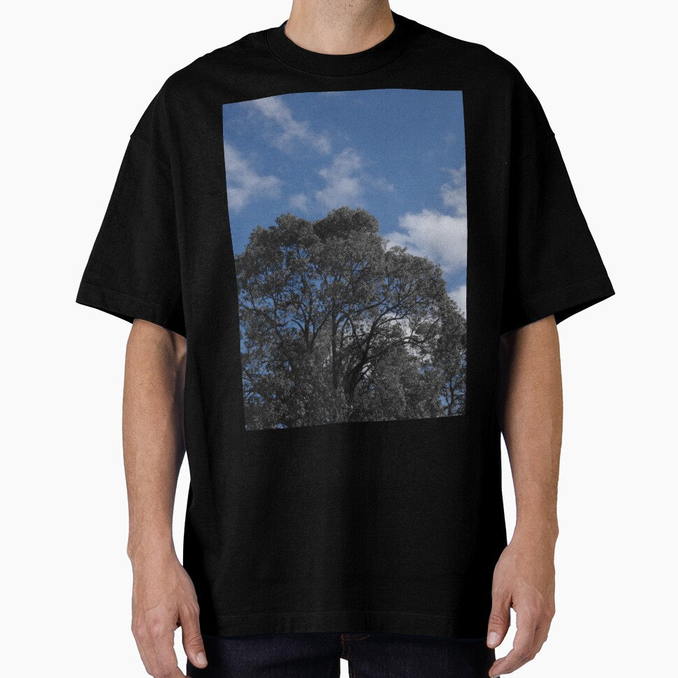 black and white trees with blue sky by BigAndRed