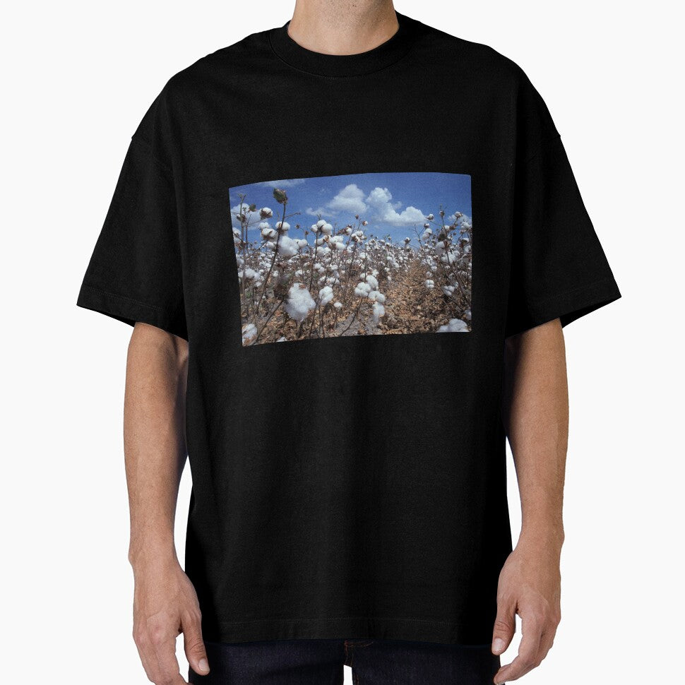 Cotton Field by BravuraMedia